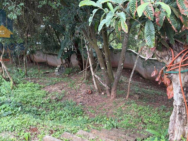 Terreno para Venda em Ouro Preto - 5