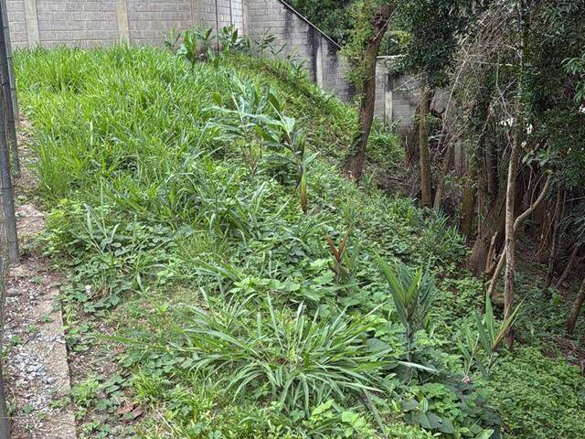Terreno para Venda em Ouro Preto - 4