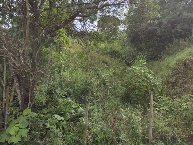 #59 - Área para Venda em Ouro Preto - MG
