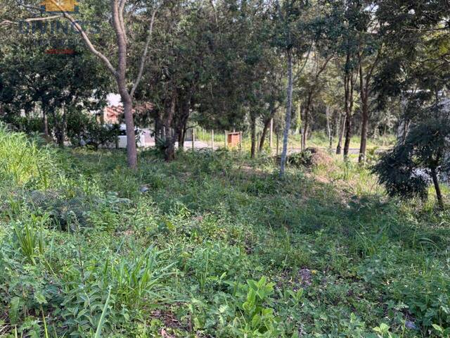 #73 - Área para Venda em Ouro Preto - MG